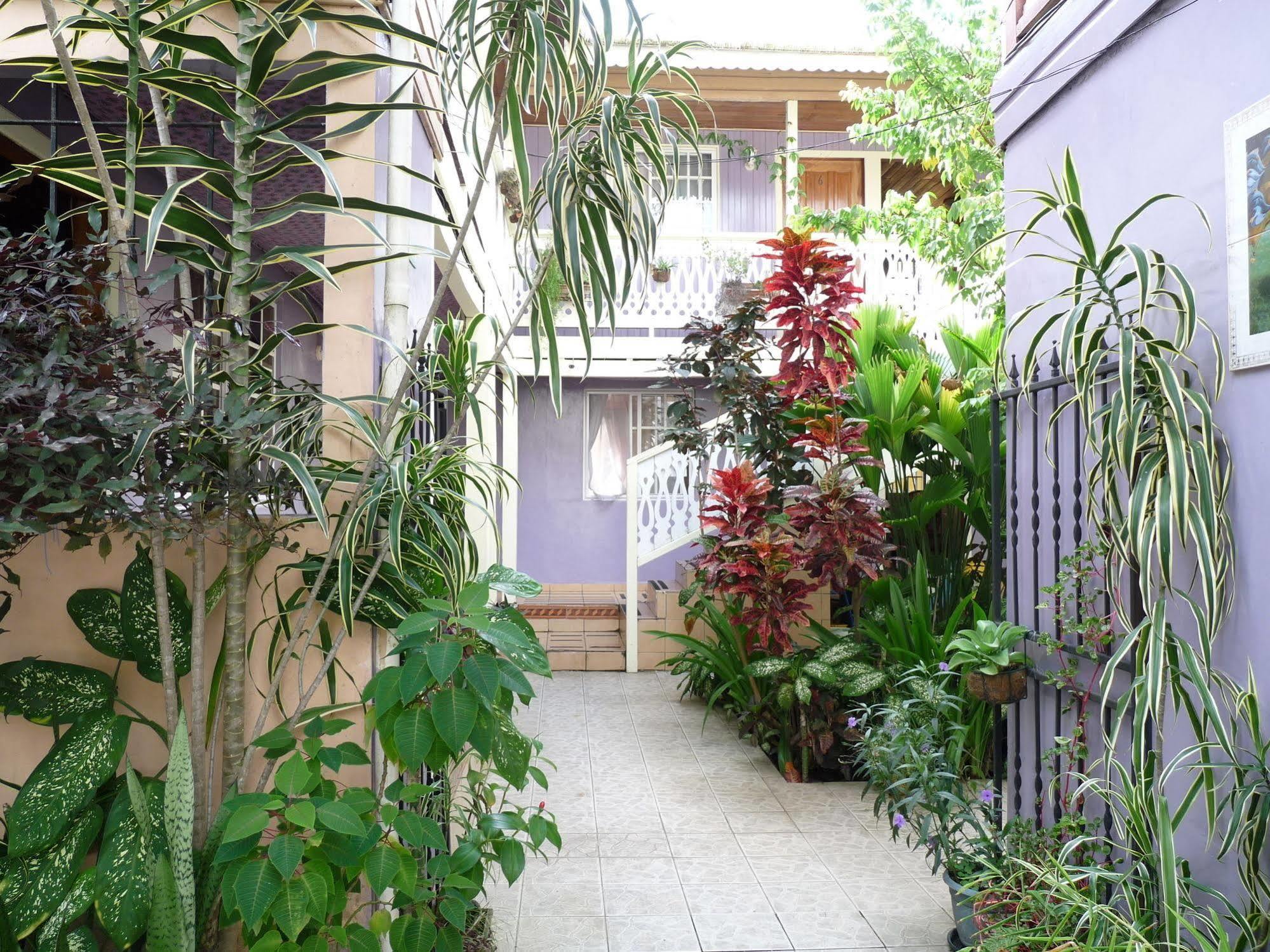 Hotel Posada Isla Chica Bocas del Toro ภายนอก รูปภาพ